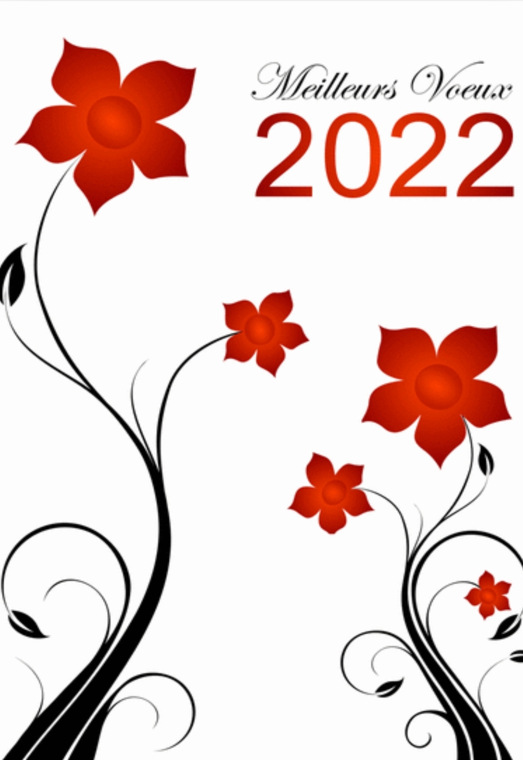 Vœux2022 